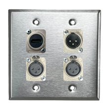 PROCRAFT DPL-4X-VAR 2 Gang Stainless Pro Audio Installation Wall Plate Loaded, Made in the USA