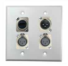 PROCRAFT DPL-4X-VAR 2 Gang Stainless Pro Audio Installation Wall Plate Loaded, Made in the USA