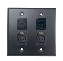 PROCRAFT DPL-4X-VAR 2 Gang Stainless Pro Audio Installation Wall Plate Loaded, Made in the USA
