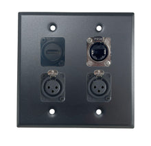 PROCRAFT DPL-4X-VAR 2 Gang Stainless Pro Audio Installation Wall Plate Loaded, Made in the USA