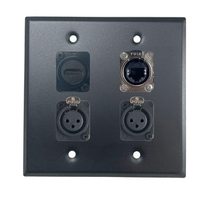 PROCRAFT DPL-4X-VAR 2 Gang Stainless Pro Audio Installation Wall Plate Loaded, Made in the USA