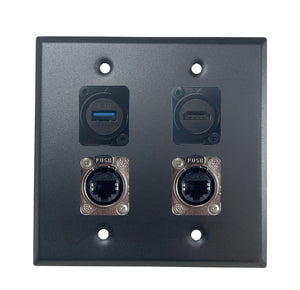 PROCRAFT DPL-4X-VAR 2 Gang Stainless Pro Audio Installation Wall Plate Loaded, Made in the USA