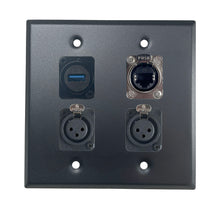 PROCRAFT DPL-4X-VAR 2 Gang Stainless Pro Audio Installation Wall Plate Loaded, Made in the USA