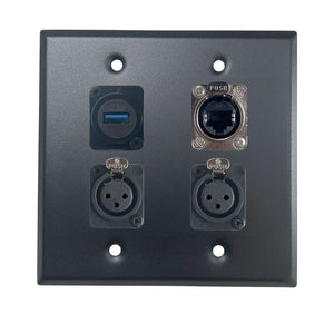PROCRAFT DPL-4X-VAR 2 Gang Stainless Pro Audio Installation Wall Plate Loaded, Made in the USA