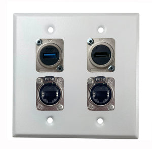 PROCRAFT DPL-4X-VAR 2 Gang Stainless Pro Audio Installation Wall Plate Loaded, Made in the USA