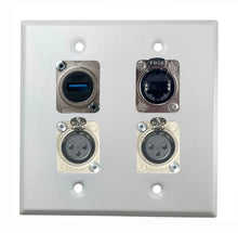 PROCRAFT DPL-4X-VAR 2 Gang Stainless Pro Audio Installation Wall Plate Loaded, Made in the USA