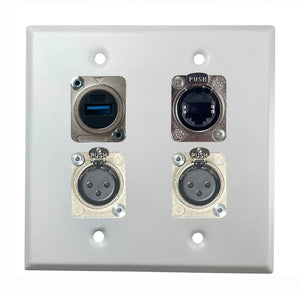 PROCRAFT DPL-4X-VAR 2 Gang Stainless Pro Audio Installation Wall Plate Loaded, Made in the USA