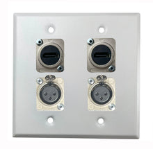 PROCRAFT DPL-4X-VAR 2 Gang Stainless Pro Audio Installation Wall Plate Loaded, Made in the USA
