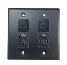 PROCRAFT DPL-4X-VAR 2 Gang Stainless Pro Audio Installation Wall Plate Loaded, Made in the USA
