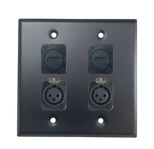 PROCRAFT DPL-4X-VAR 2 Gang Stainless Pro Audio Installation Wall Plate Loaded, Made in the USA