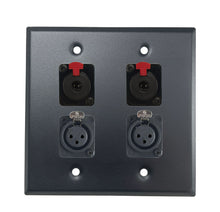 PROCRAFT DPL-4X-VAR 2 Gang Stainless Pro Audio Installation Wall Plate Loaded, Made in the USA
