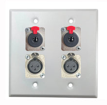 PROCRAFT DPL-4X-VAR 2 Gang Stainless Pro Audio Installation Wall Plate Loaded, Made in the USA