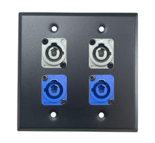 PROCRAFT DPL-4X-VAR 2 Gang Stainless Pro Audio Installation Wall Plate Loaded, Made in the USA