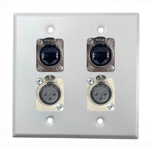 PROCRAFT DPL-4X-VAR 2 Gang Stainless Pro Audio Installation Wall Plate Loaded, Made in the USA