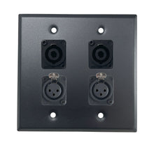 PROCRAFT DPL-4X-VAR 2 Gang Stainless Pro Audio Installation Wall Plate Loaded, Made in the USA