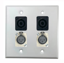 PROCRAFT DPL-4X-VAR 2 Gang Stainless Pro Audio Installation Wall Plate Loaded, Made in the USA