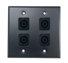 PROCRAFT DPL-4X-VAR 2 Gang Stainless Pro Audio Installation Wall Plate Loaded, Made in the USA