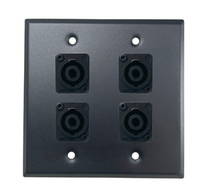 PROCRAFT DPL-4X-VAR 2 Gang Stainless Pro Audio Installation Wall Plate Loaded, Made in the USA