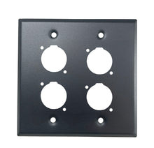 PROCRAFT DPL-4X-VAR 2 Gang Stainless Pro Audio Installation Wall Plate Loaded, Made in the USA