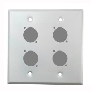 PROCRAFT DPL-4X-VAR 2 Gang Stainless Pro Audio Installation Wall Plate Loaded, Made in the USA