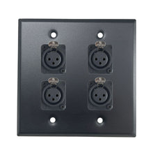 PROCRAFT DPL-4X-VAR 2 Gang Stainless Pro Audio Installation Wall Plate Loaded, Made in the USA