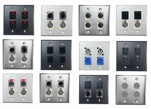 PROCRAFT DPL-4X-VAR 2 Gang Stainless Pro Audio Installation Wall Plate Loaded, Made in the USA